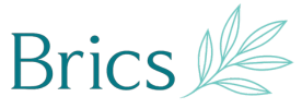 Brics Logo